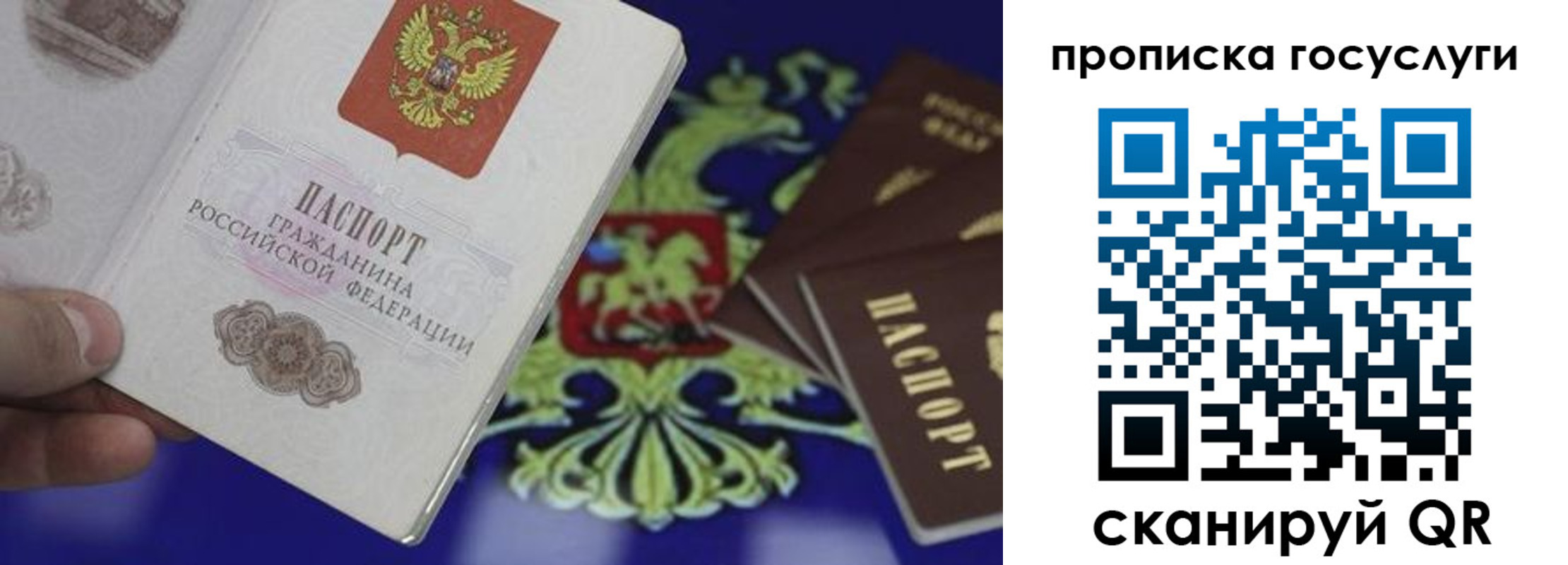 прописка для школы в Кашине
